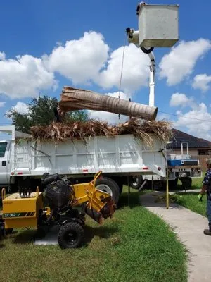 Valleywide Tree Trimming Logo