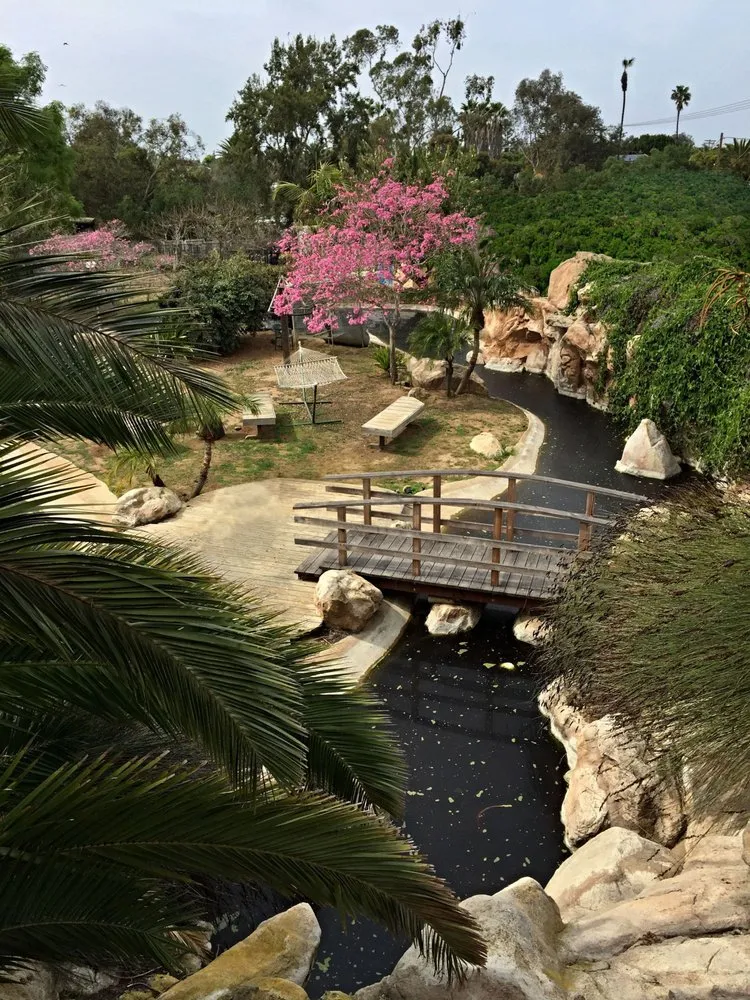 Affordable landscape design with custom design in Alpine, CA by Valoon Design Build