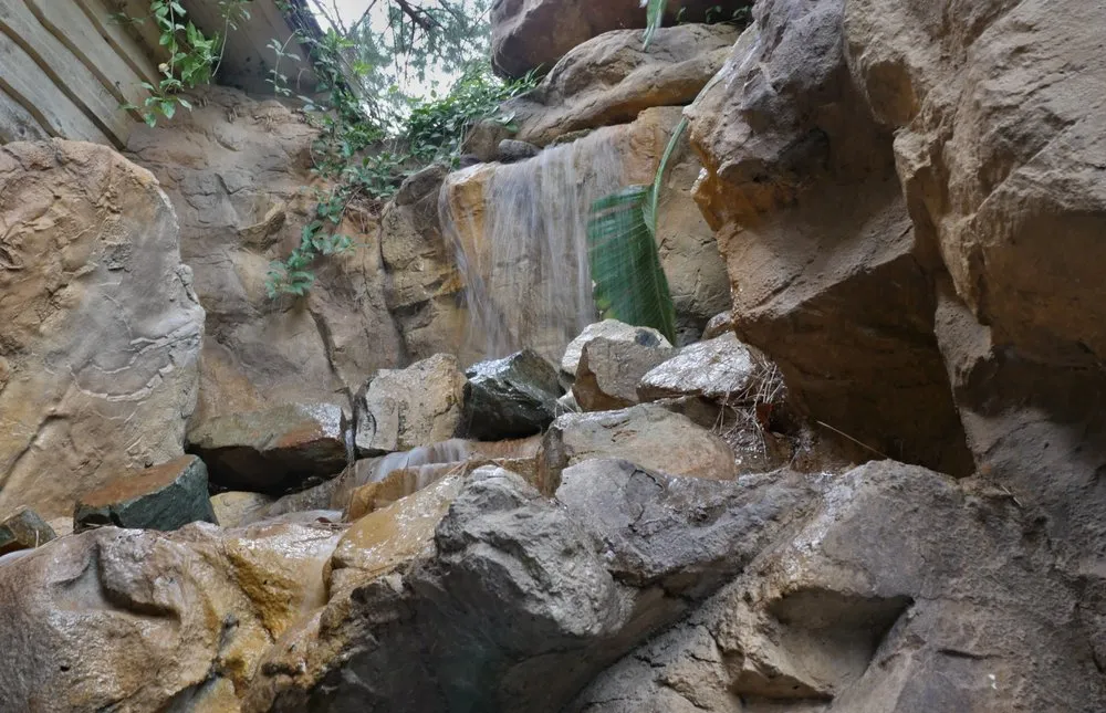 Top-rated lawn mowing service for outdoor upgrades in Alpine, CA by Valoon Design Build