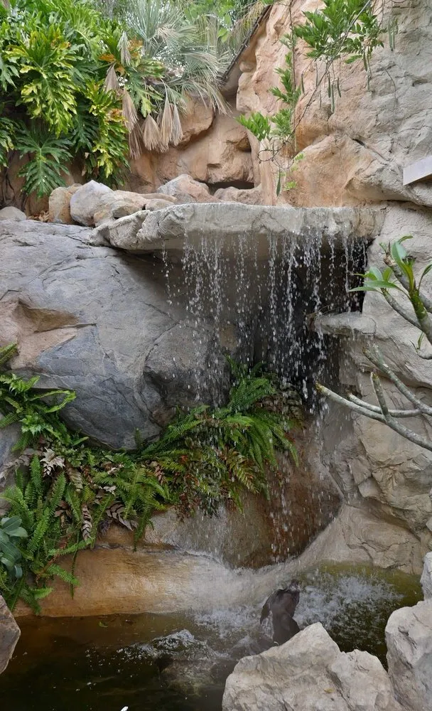 Reliable landscaping services for residential properties across Alpine, CA - Valoon Design Build