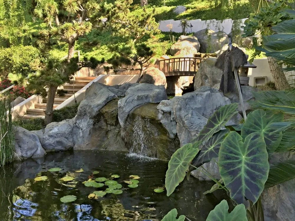 Top-rated yard maintenance in Alpine, CA by Valoon Design Build