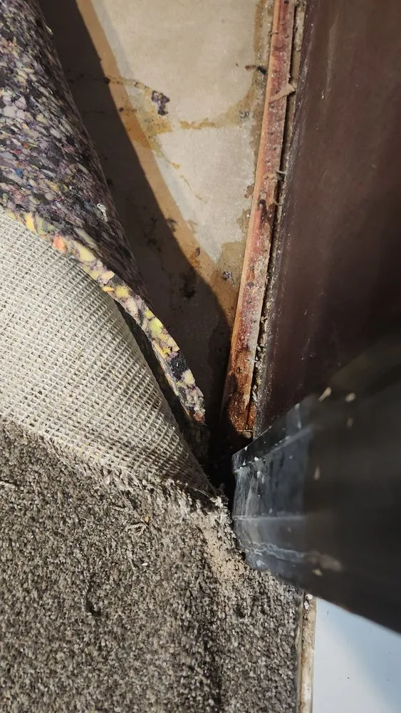 Affordable residential landscaping with custom design in Northglenn, CO by Valor Construction