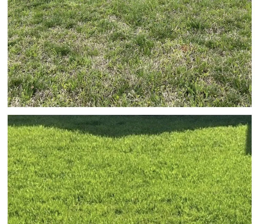 Reliable lawn mowing service for residential properties in Terrell, TX by Valor GreenScapes