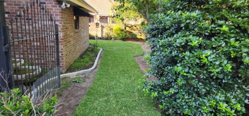 Top-rated yard cleanup service experts serving Springfield, LA - Valor Industries