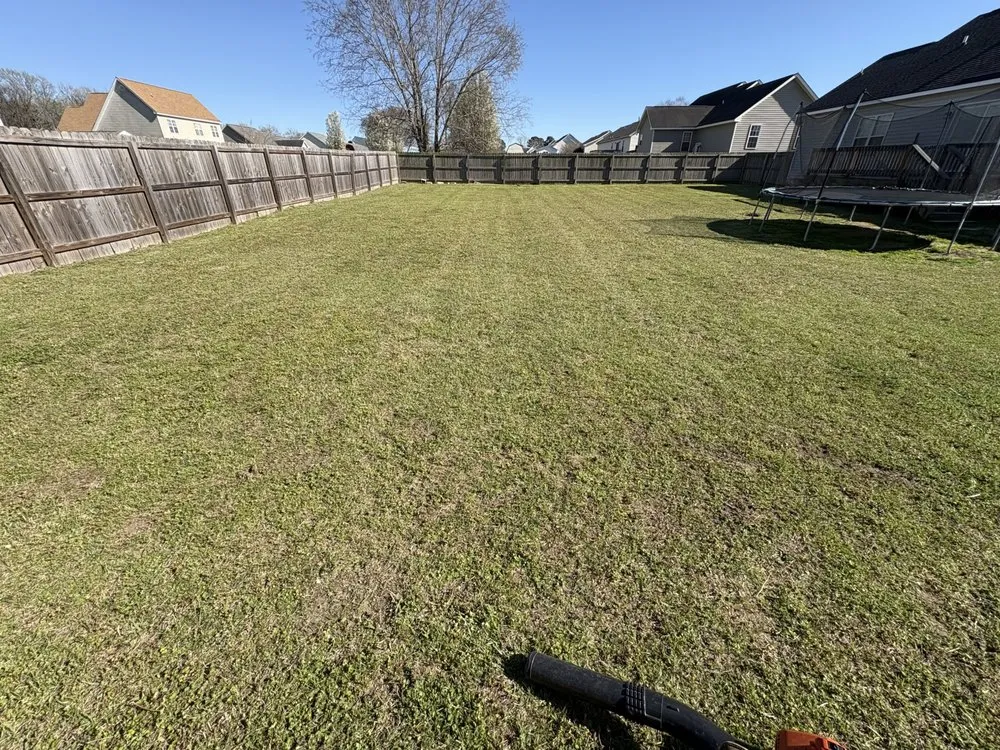 Expert yard cleanup service experts serving Greenville, NC - Valor Landscaping