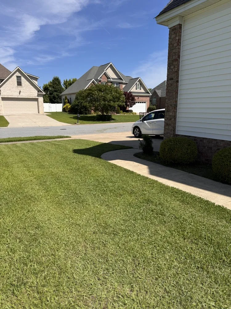 Professional residential landscaping experts serving Greenville, NC - Valor Landscaping