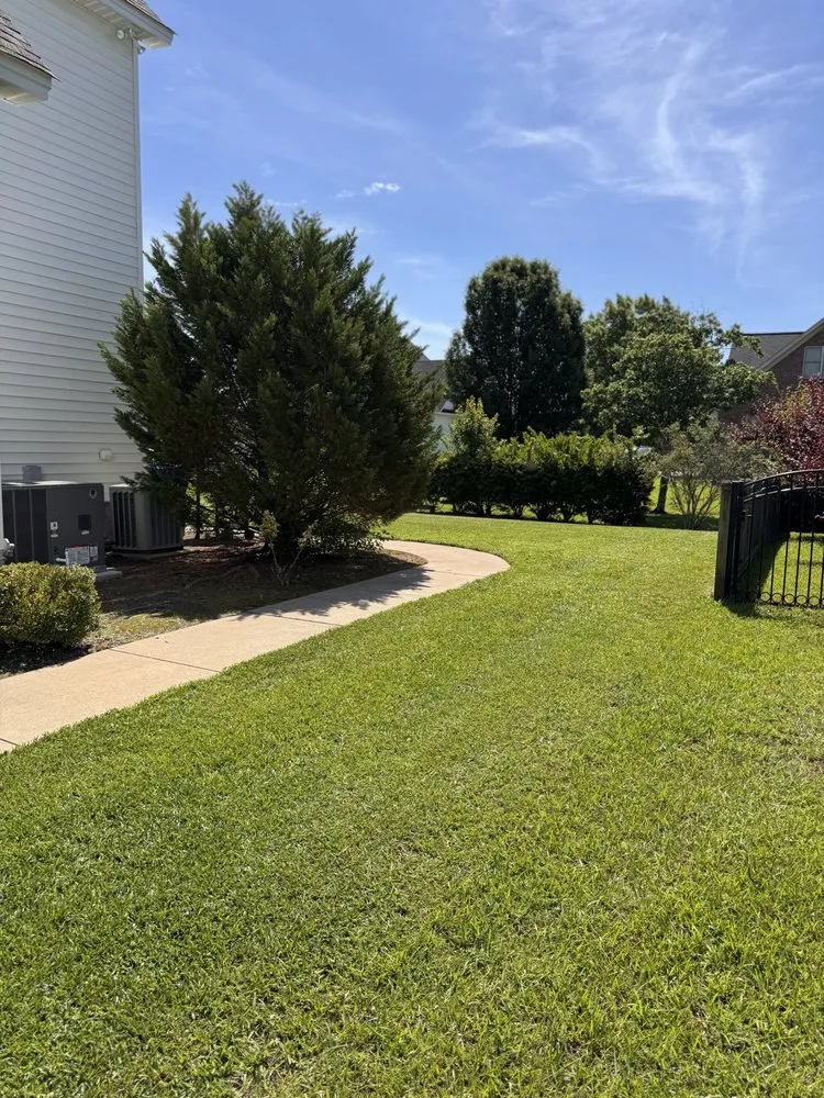 Local landscape installation in Greenville, NC - Valor Landscaping