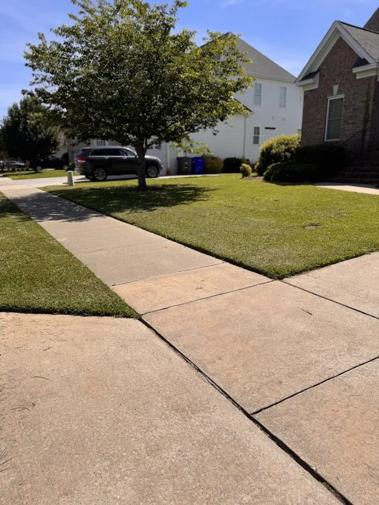 Top-rated landscape design in Greenville, NC - Valor Landscaping