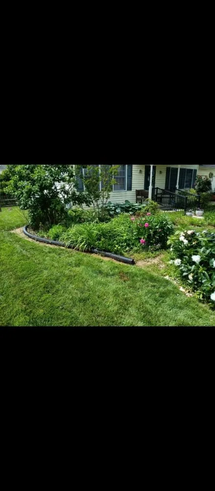 Expert yard cleanup service in Havelock, NC - Valor Lawn Care