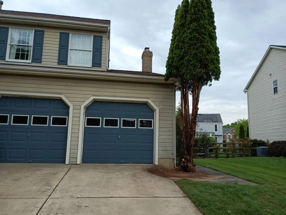 Trusted yard cleanup service in Havelock, NC - Valor Lawn Care