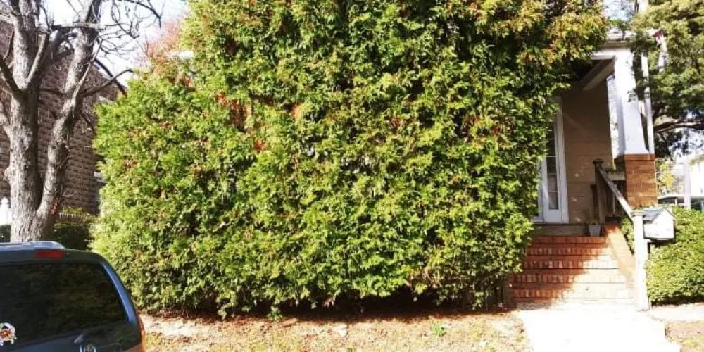 Reliable outdoor landscaping for beautiful yards across Havelock, NC - Valor Lawn Care