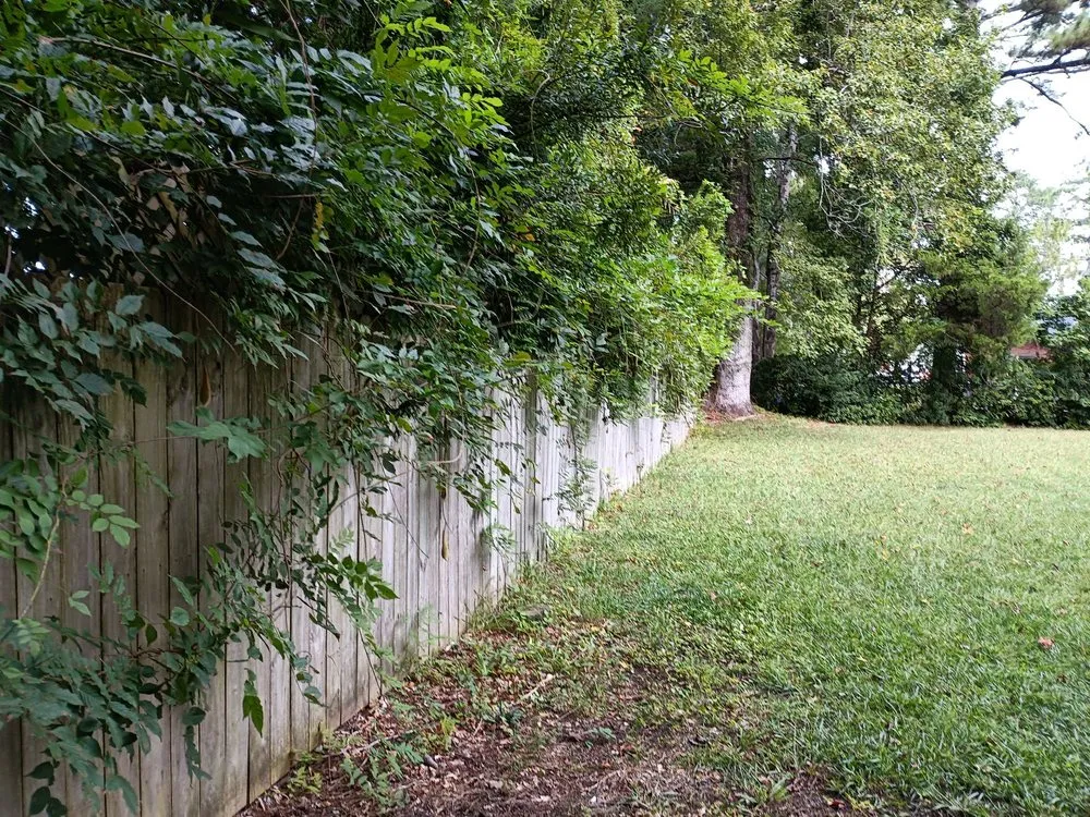 Local outdoor landscaping for outdoor upgrades in Havelock, NC by Valor Lawn Care