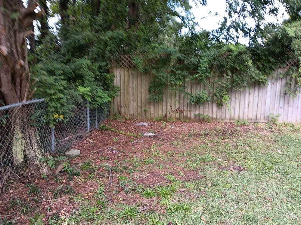 Trusted landscape design for residential properties across Havelock, NC - Valor Lawn Care