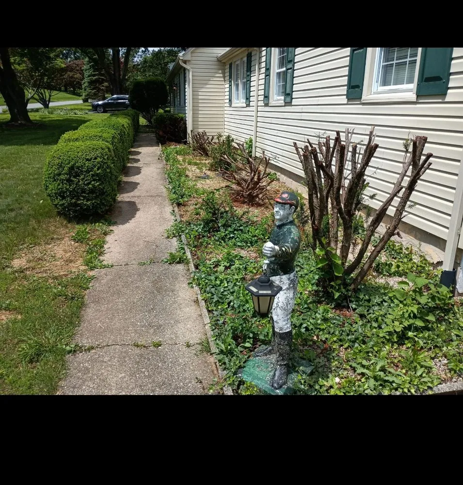 Affordable landscape installation for beautiful yards in Havelock, NC by Valor Lawn Care