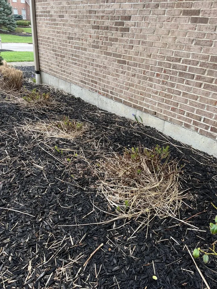 Professional outdoor landscaping in Maineville, OH by Valor Lawn Care