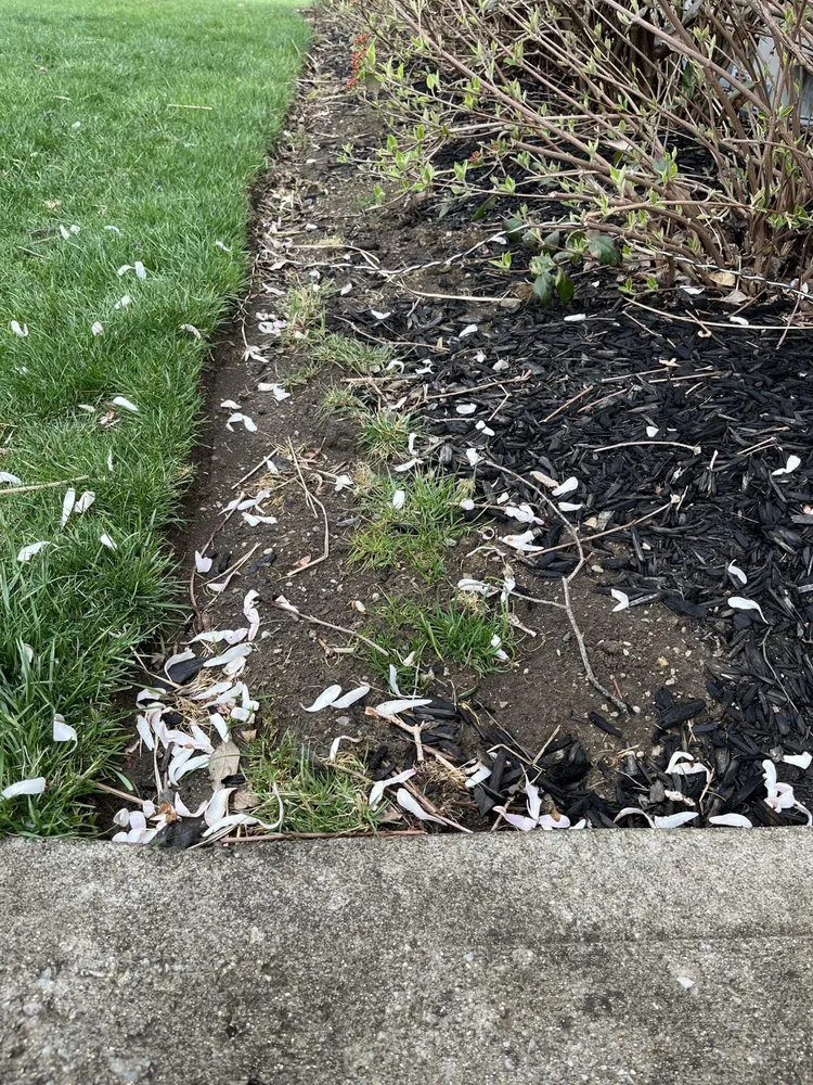 Expert landscaping services for year-round maintenance in Maineville, OH by Valor Lawn Care