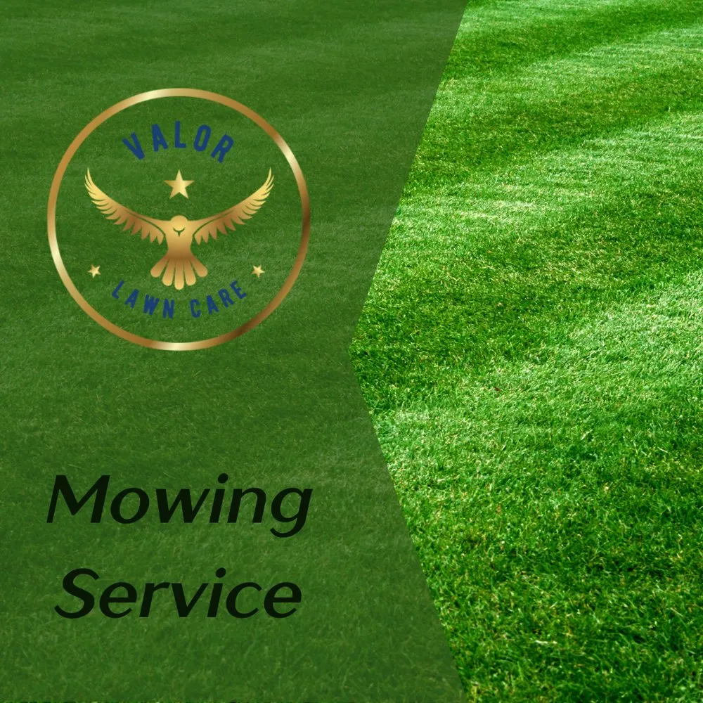Custom yard cleanup service for homes across Maineville, OH - Valor Lawn Care