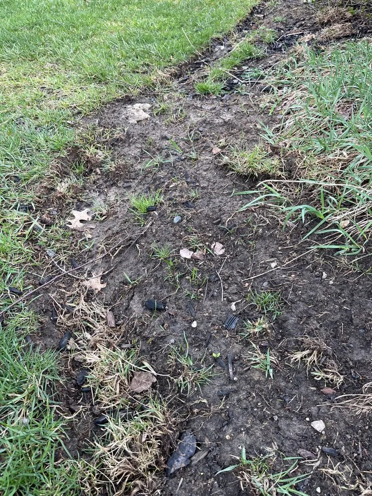 Expert garden landscaping in Maineville, OH by Valor Lawn Care