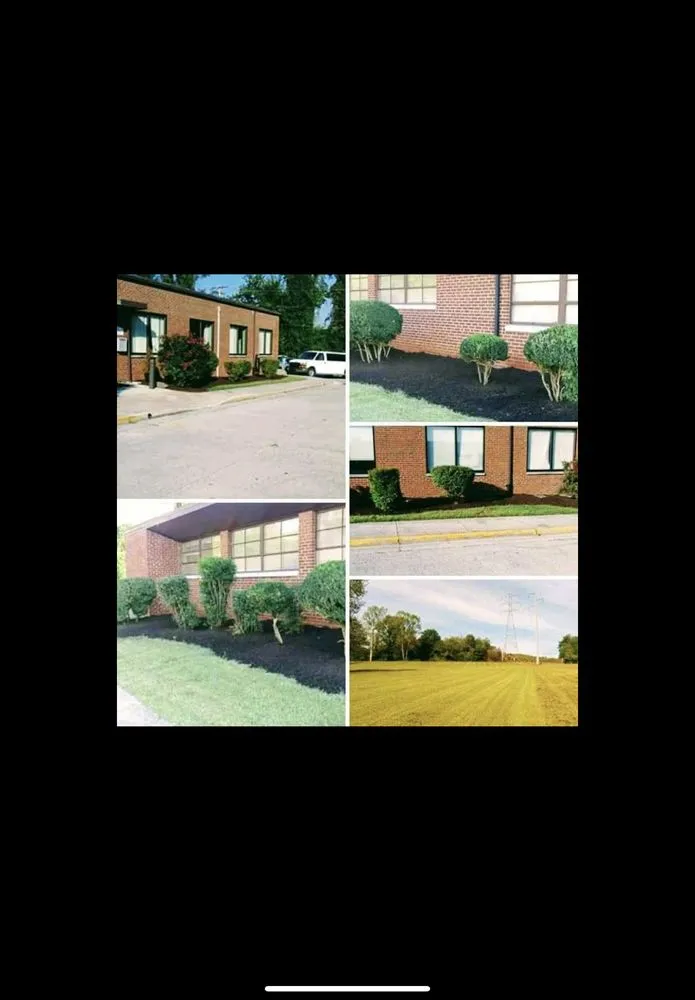 Professional landscape installation in Loudon, TN by Valor Total Home Care