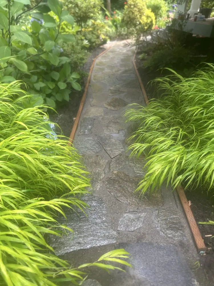 Reliable yard cleanup service for beautiful yards across Port Orchard, WA - Valora Landscaping And Painting