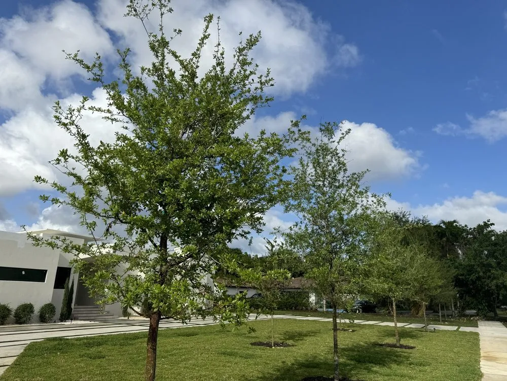 Trusted outdoor landscaping in Cutler Bay, FL by Valorez Design Studio