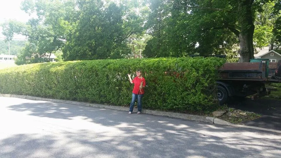 Trusted lawn care service experts serving Stroudsburg, PA - Valovich & Sons