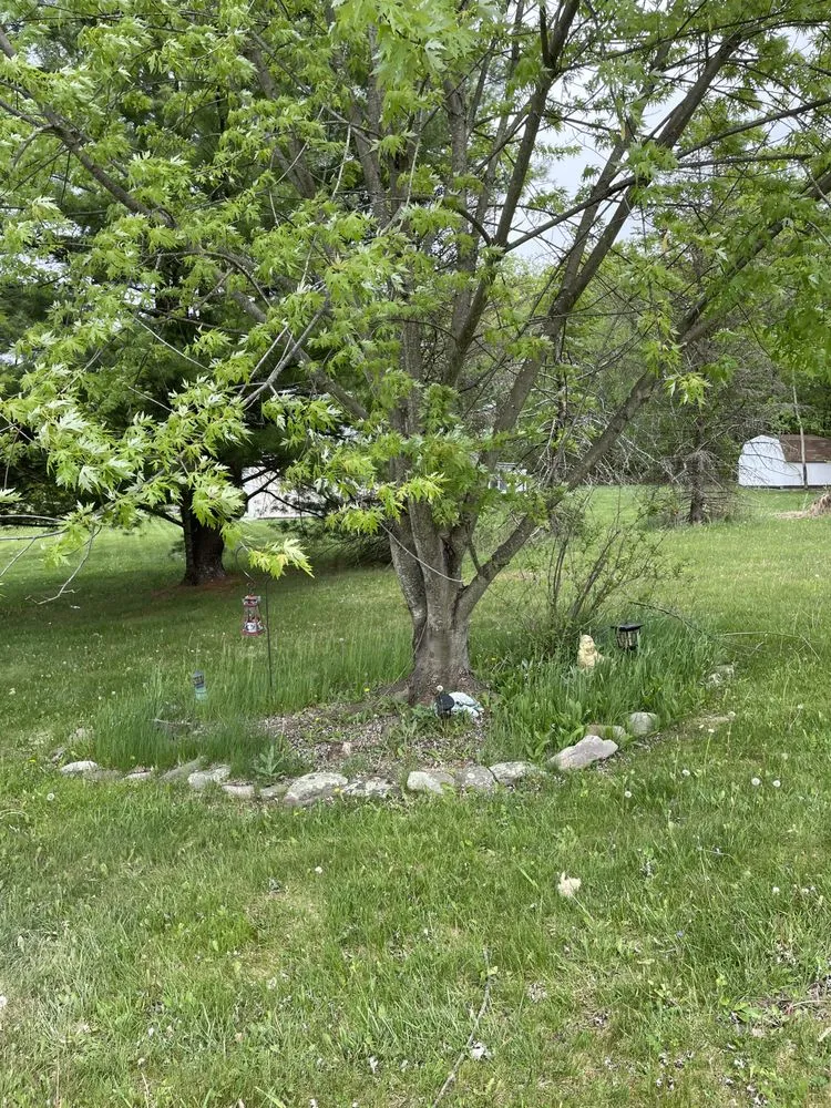 Top-rated residential landscaping in Stroudsburg, PA by Valovich & Sons