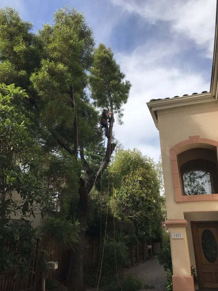 Custom landscape design in Menlo Park, CA by Val's Lawncare