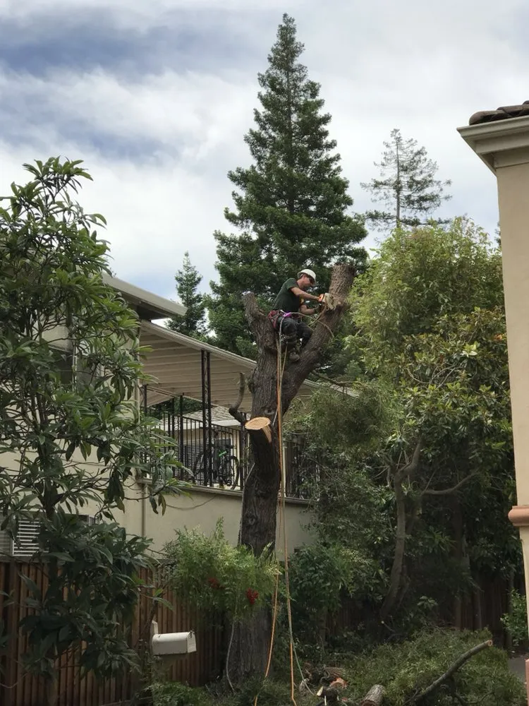 Professional garden landscaping near you across Menlo Park, CA - Val's Lawncare