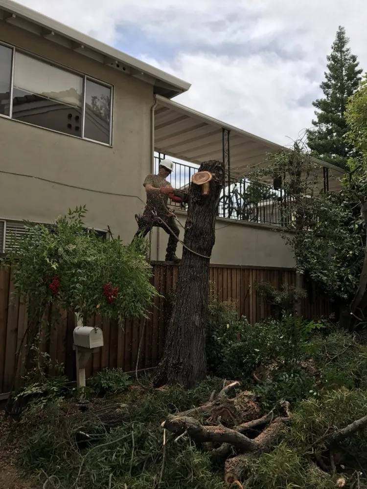 Affordable yard maintenance in Menlo Park, CA - Val's Lawncare