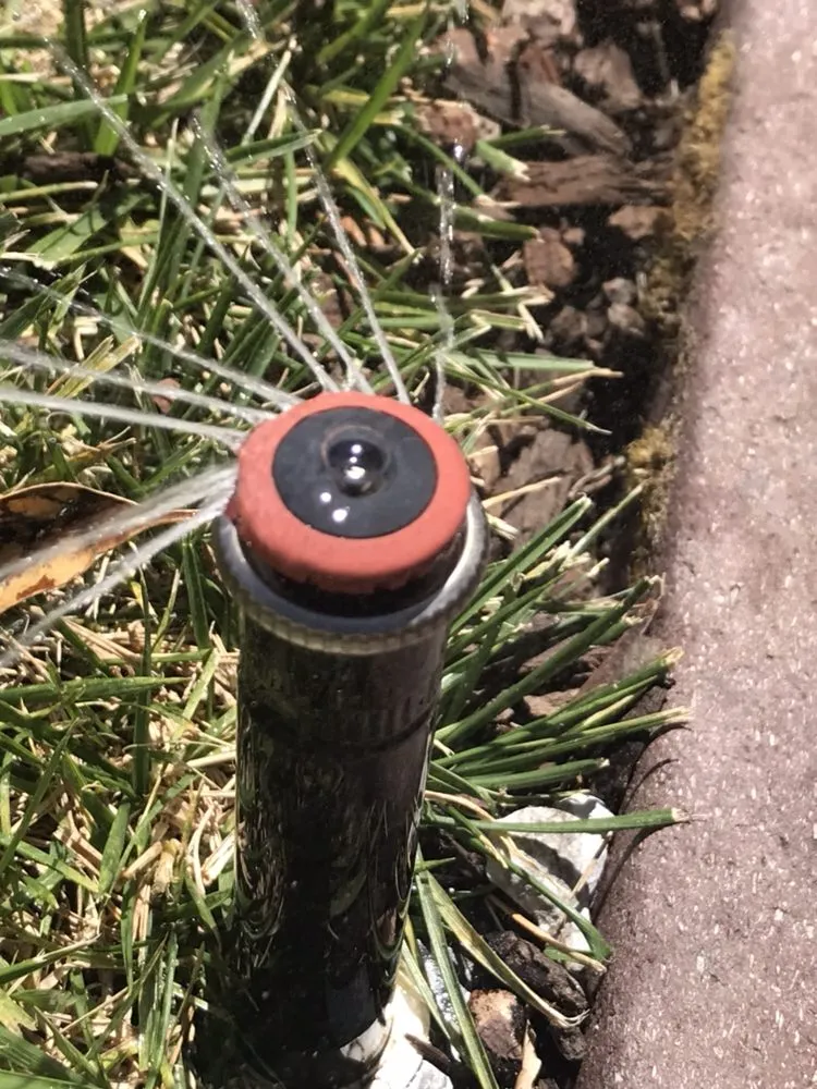 Reliable landscape design near you in Menlo Park, CA by Val's Lawncare