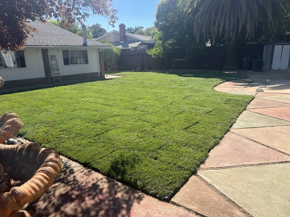 Expert garden landscaping for year-round maintenance across Jackson, CA - Valtierra Landscape