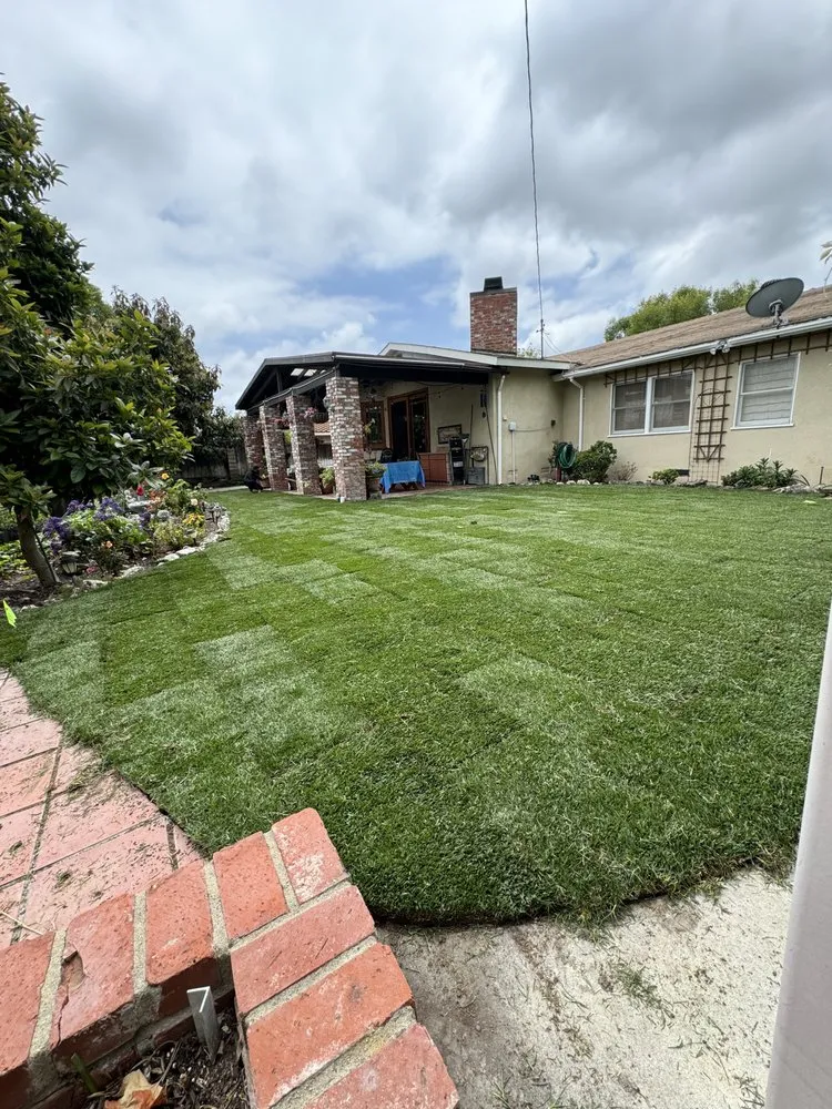 Professional yard maintenance experts serving Lomita, CA - Valtierra’s Landscape