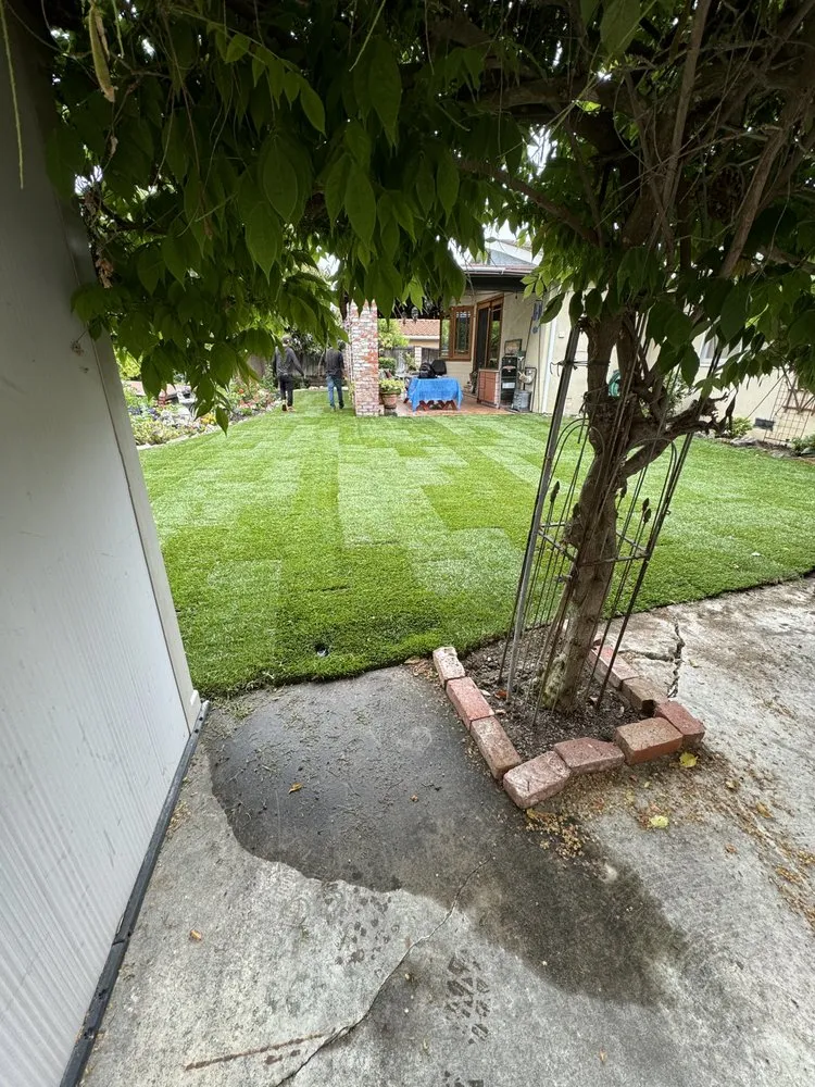 Trusted residential landscaping for outdoor upgrades across Lomita, CA - Valtierra’s Landscape