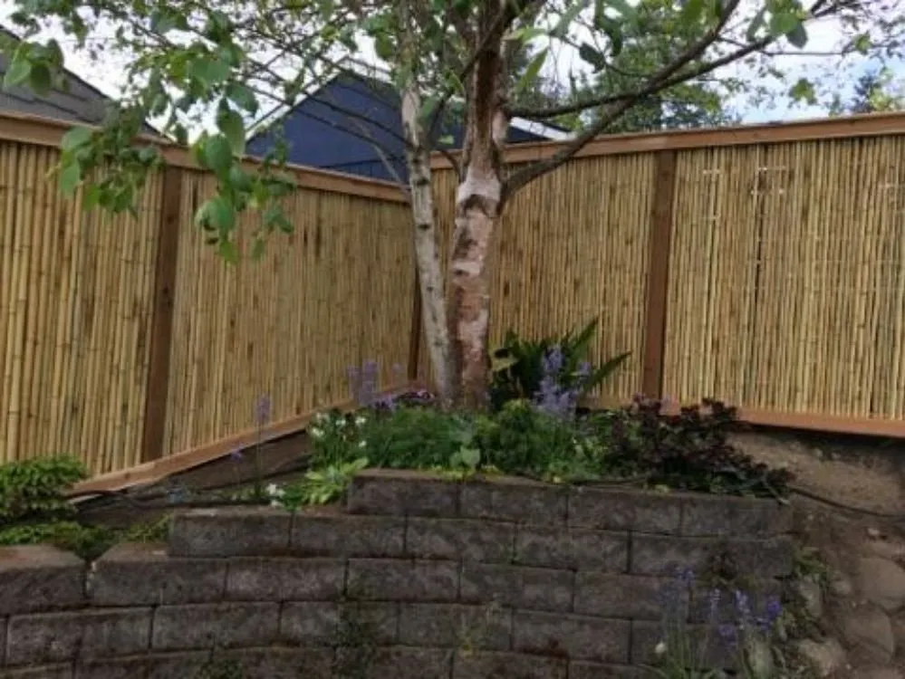 Reliable yard maintenance in Lakewood, WA by Value Landscape