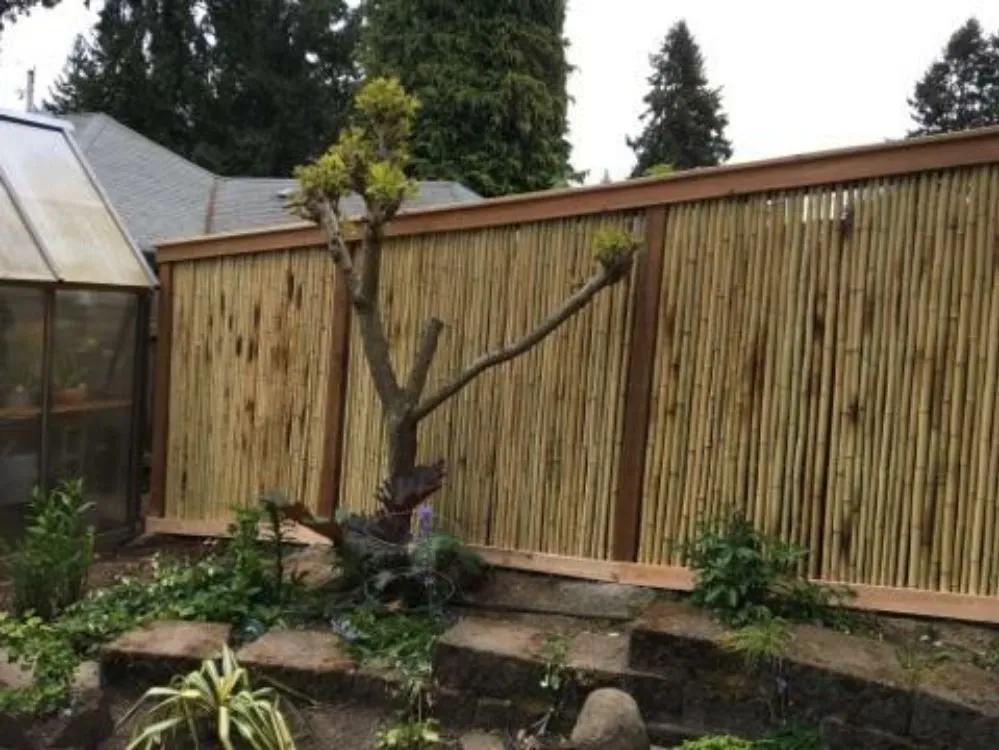 Professional outdoor landscaping for beautiful yards in Lakewood, WA by Value Landscape