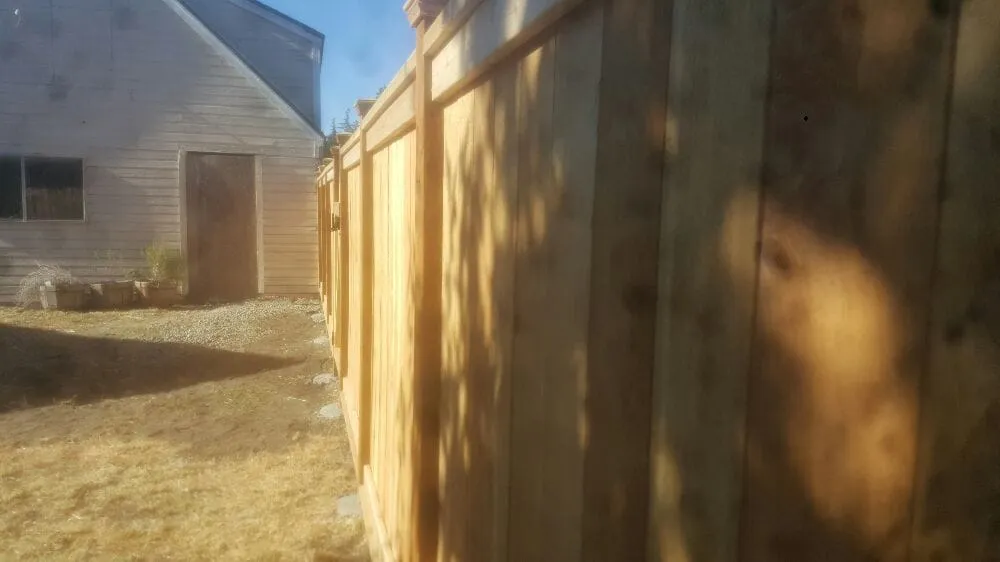 Top-rated landscape installation for homes across Lakewood, WA - Value Landscape