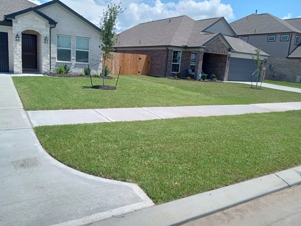 Professional landscape design in Needville, TX by Value Lawn Care