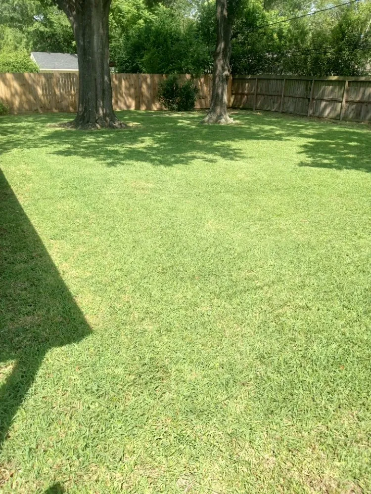 Custom lawn mowing service in Needville, TX by Value Lawn Care