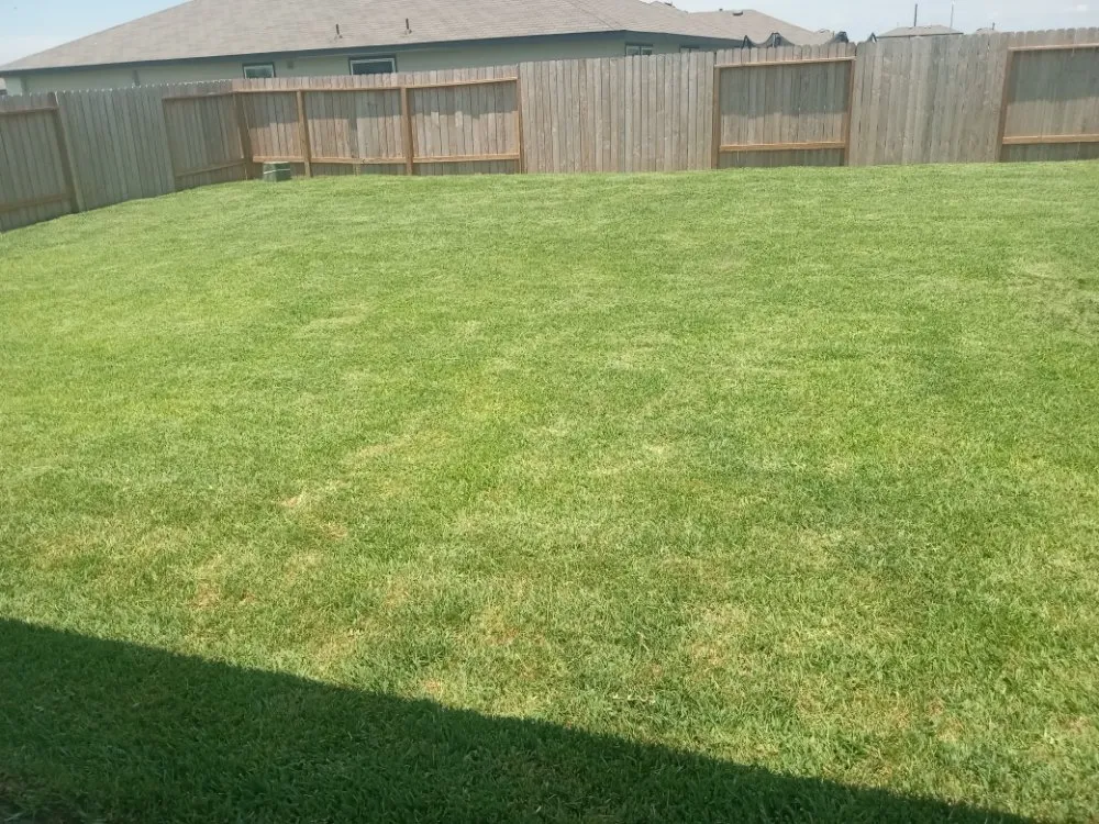 Expert landscaping services experts serving Needville, TX - Value Lawn Care