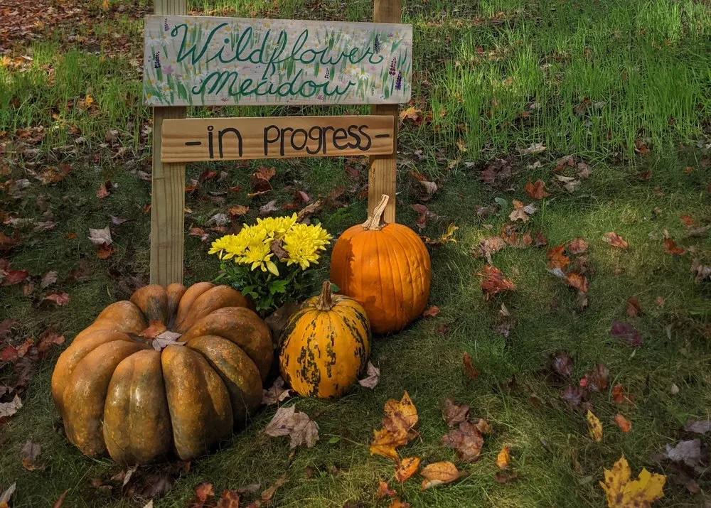 Reliable garden landscaping in Nottingham, NH - Values First Gardening