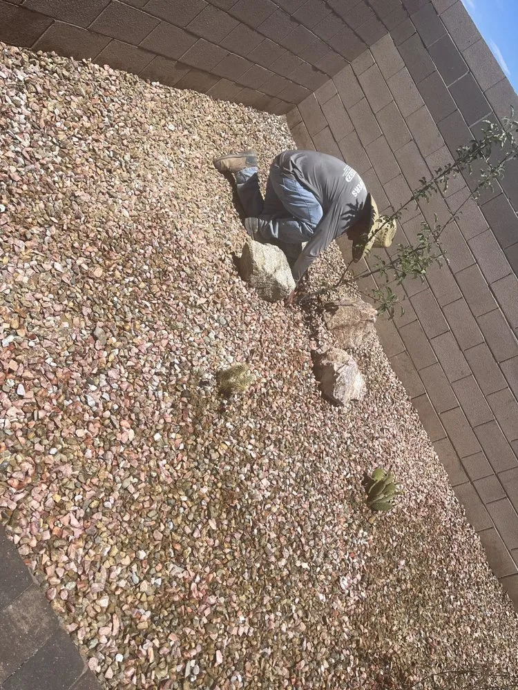 Trusted lawn care service in Las Vegas, NV by Valys Pavers