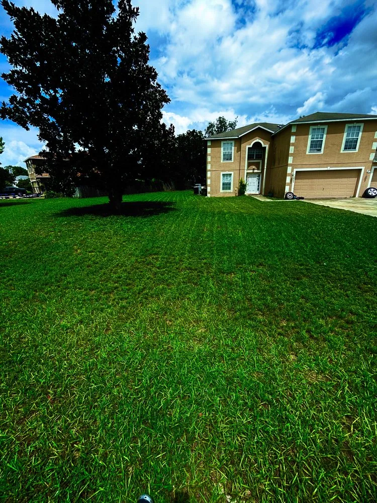 Custom yard cleanup service in Ocala, FL by Valyxon Lawncare & Estate