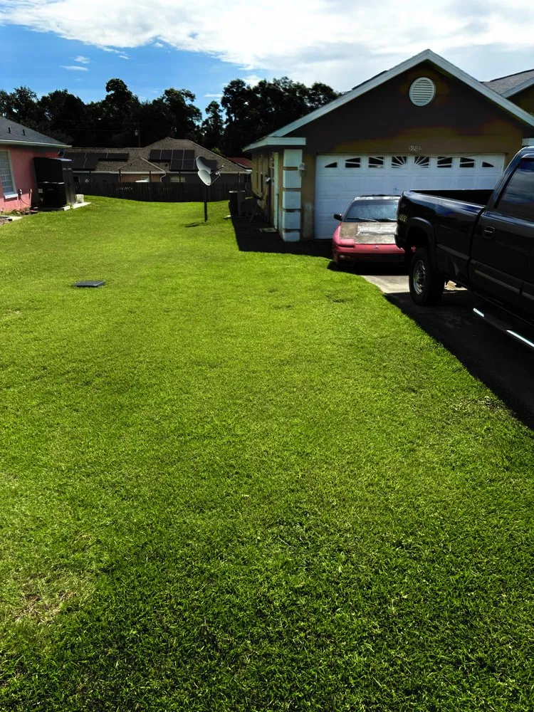 Professional landscape installation in Ocala, FL - Valyxon Lawncare & Estate