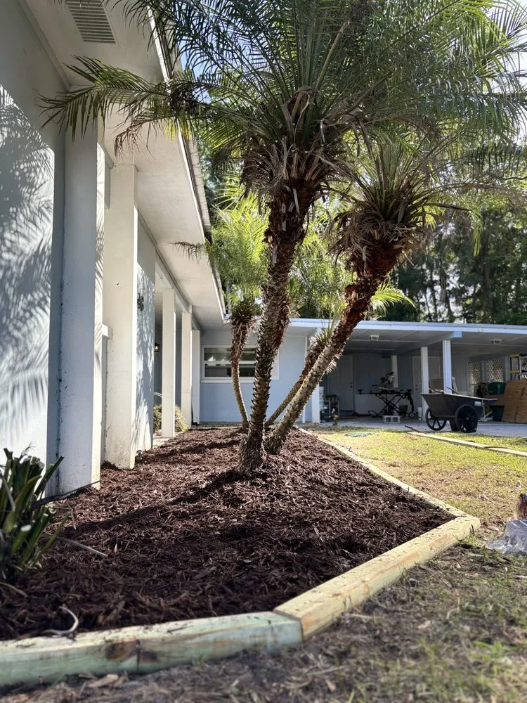 Reliable lawn mowing service in Ocala, FL by Valyxon Lawncare & Estate