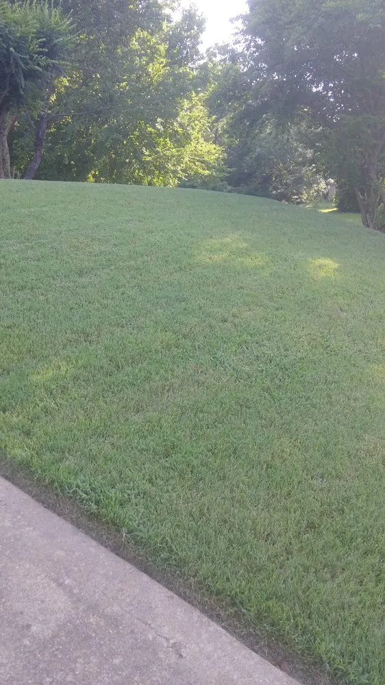 Trusted lawn mowing service experts serving Horn Lake, MS - Val’z Services