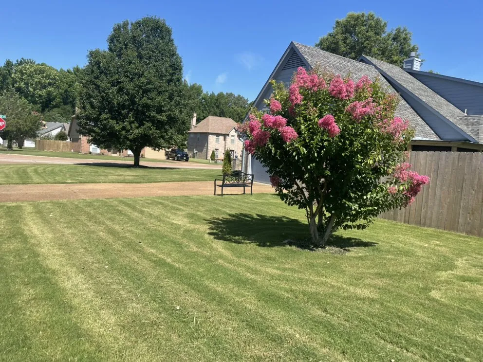 Custom lawn mowing service in Horn Lake, MS by Val’z Services