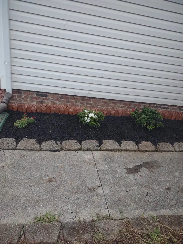 Affordable landscaping services in Jacksonville, NC by Van and Pops Lawn Care