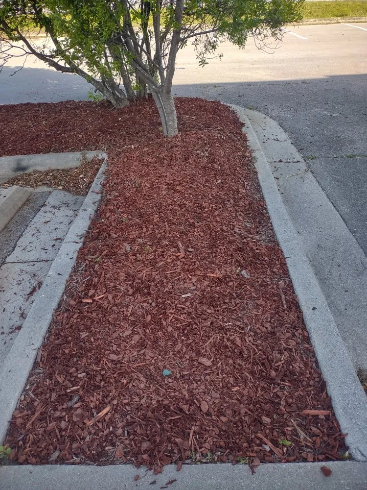 Trusted yard cleanup service in Jacksonville, NC - Van and Pops Lawn Care