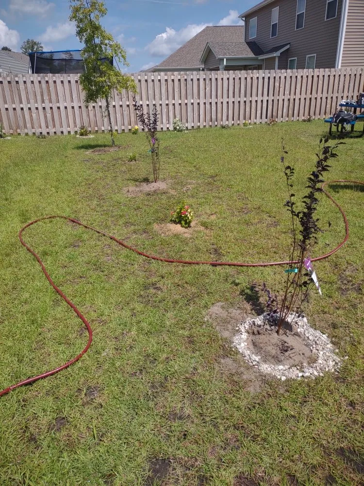 Top-rated garden landscaping in Jacksonville, NC by Van and Pops Lawn Care